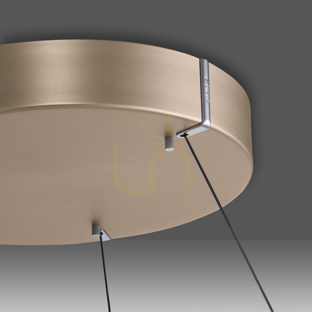 Check PURE E-LOOP 2550-60 Brass 2xLED Pendant Light PURE E-LOOP 2550-60 Brass 2xLED Pendant Light