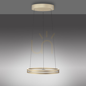 PURE E-LOOP 2550-60 Brass 2xLED Pendant Light 12 PURE E-LOOP 2550-60 Brass 2xLED Pendant Light small 12