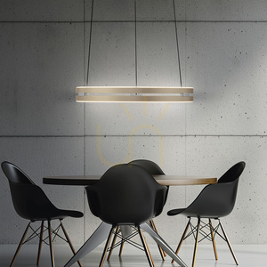 PURE E-LOOP 2550-60 Brass 2xLED Pendant Light 14 PURE E-LOOP 2550-60 Brass 2xLED Pendant Light small 14