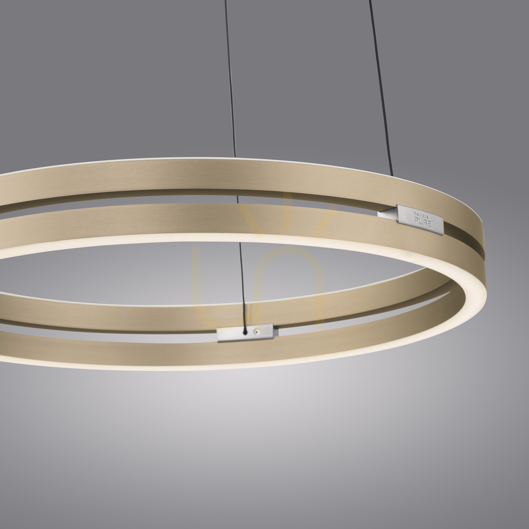 Preview PURE E-LOOP 2550-60 Brass 2xLED Pendant Light PURE E-LOOP 2550-60 Brass 2xLED Pendant Light
