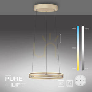 PURE E-LOOP 2550-60 Brass 2xLED Pendant Light 19 PURE E-LOOP 2550-60 Brass 2xLED Pendant Light small 19