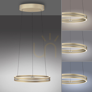PURE E-LOOP 2550-60 Brass 2xLED Pendant Light 5 PURE E-LOOP 2550-60 Brass 2xLED Pendant Light small 5