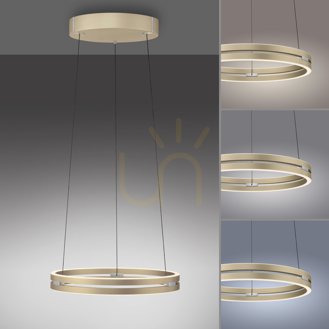Check PURE E-LOOP 2550-60 Brass 2xLED Pendant Light PURE E-LOOP 2550-60 Brass 2xLED Pendant Light