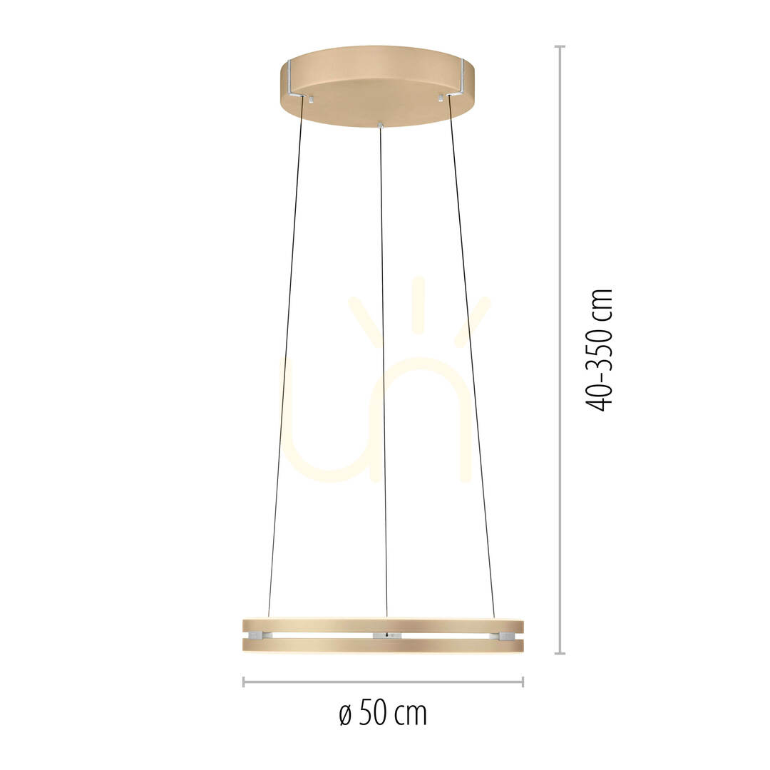 Preview PURE E-LOOP 2550-60 Brass 2xLED Pendant Light PURE E-LOOP 2550-60 Brass 2xLED Pendant Light