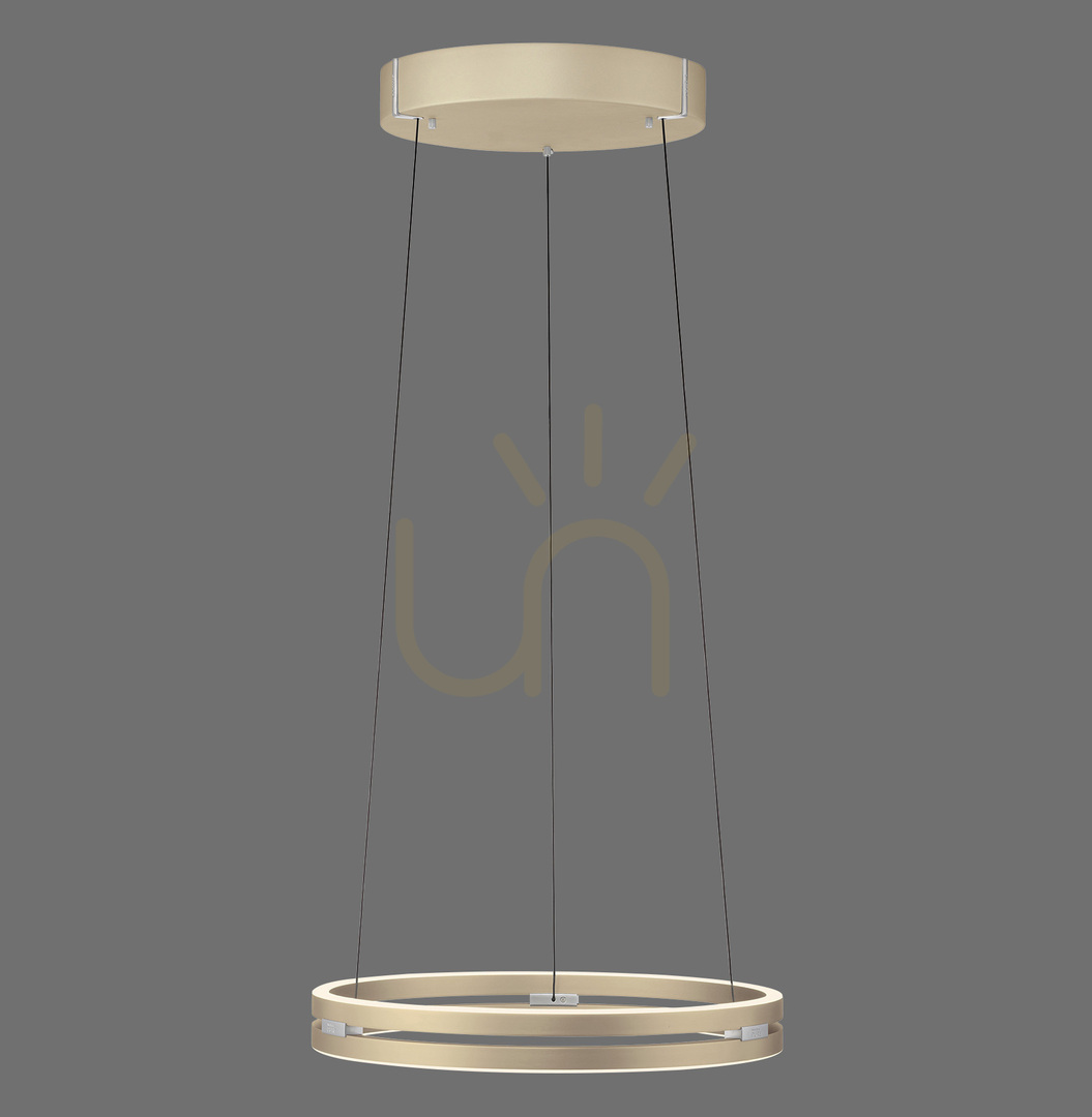 Check PURE E-LOOP 2550-60 Brass 2xLED Pendant Light PURE E-LOOP 2550-60 Brass 2xLED Pendant Light