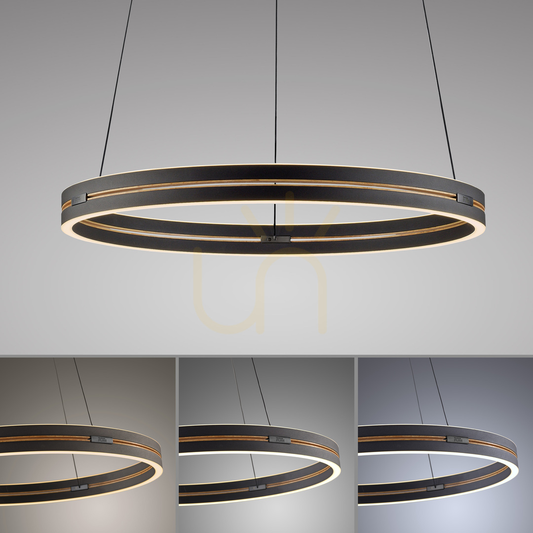 Check PURE E-LOOP 2551-18 Black 2xLED Pendant Light PURE E-LOOP 2551-18 Black 2xLED Pendant Light