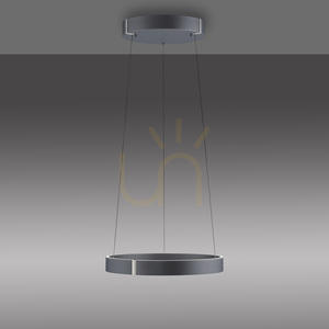 PURE E-CLIPSE 2560-15 Gray 2xLED Pendant Light 11 PURE E-CLIPSE 2560-15 Gray 2xLED Pendant Light small 11
