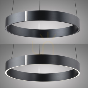 PURE E-CLIPSE 2560-15 Gray 2xLED Pendant Light 13 PURE E-CLIPSE 2560-15 Gray 2xLED Pendant Light small 13