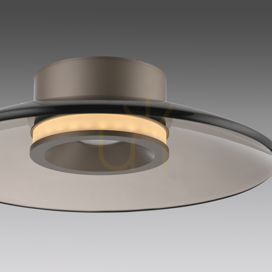 Show PURE MOON 6094-97 Brown Ceiling Light, 2xLED PURE MOON 6094-97 Brown Ceiling Light, 2xLED