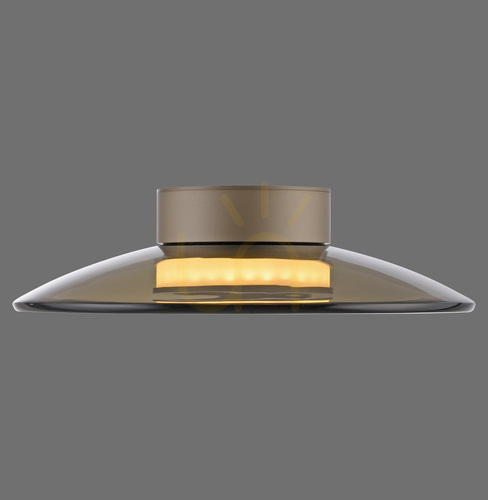 Check PURE MOON 6094-97 Brown Ceiling Light, 2xLED