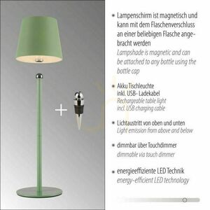 BOTERIA 19251-43 Green 1xLED Table Lamp small 8