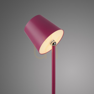 BOTERIA 19251-87 Table Lamp, Pink, 1xLED 19 BOTERIA 19251-87 Table Lamp, Pink, 1xLED small 19