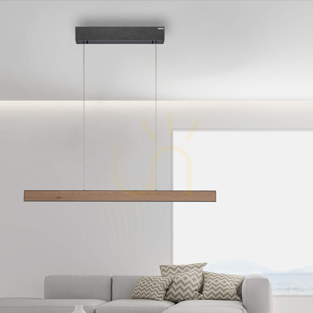 Preview PURE E-MOTION 2570-79 Black 2xLED Pendant Light PURE E-MOTION 2570-79 Black 2xLED Pendant Light