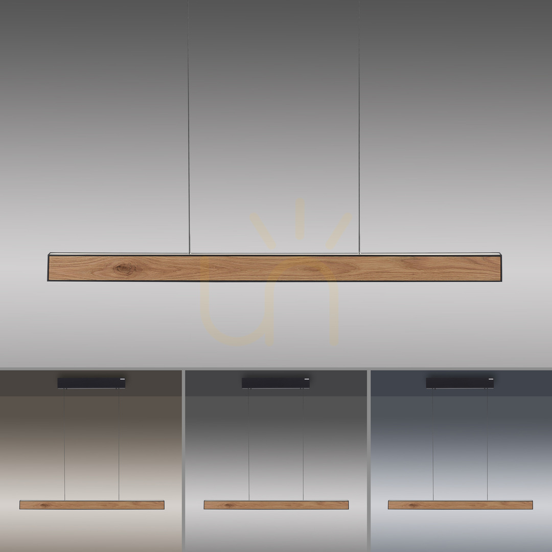 Check PURE E-MOTION 2570-79 Black 2xLED Pendant Light PURE E-MOTION 2570-79 Black 2xLED Pendant Light