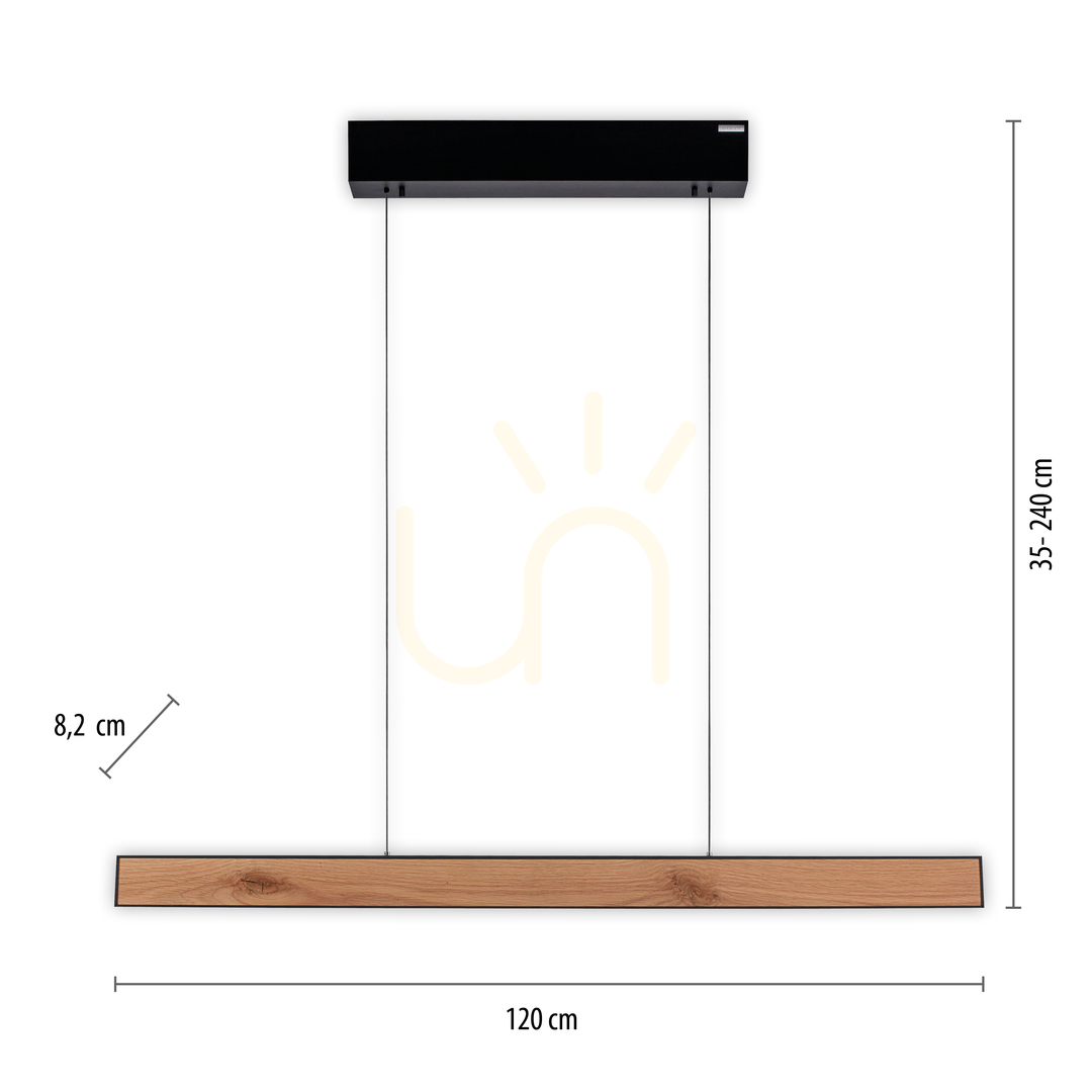 Display PURE E-MOTION 2570-79 Black 2xLED Pendant Light PURE E-MOTION 2570-79 Black 2xLED Pendant Light