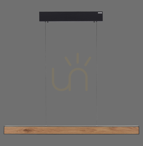 Check PURE E-MOTION 2570-79 Black 2xLED Pendant Light