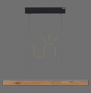 PURE E-MOTION 2570-79 Black 2xLED Pendant Light 0 PURE E-MOTION 2570-79 Black 2xLED Pendant Light small 0