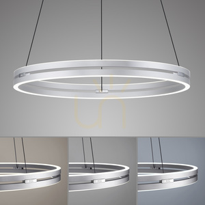 PUREE-LOOP 2551-95 Silver 2xLED Pendant Light 5 PUREE-LOOP 2551-95 Silver 2xLED Pendant Light small 5
