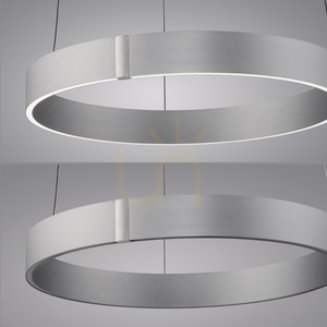 PURE E-CLIPSE 2560-95 Silver 2xLED Pendant Light 14 PURE E-CLIPSE 2560-95 Silver 2xLED Pendant Light small 14