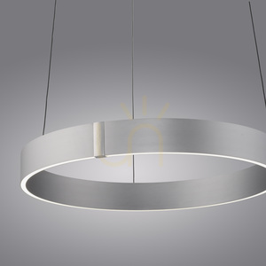 PURE E-CLIPSE 2560-95 Silver 2xLED Pendant Light 9 PURE E-CLIPSE 2560-95 Silver 2xLED Pendant Light small 9
