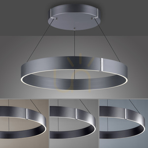 PURE E-CLIPSE 2561-15 Gray 2xLED Pendant Light 5 PURE E-CLIPSE 2561-15 Gray 2xLED Pendant Light small 5