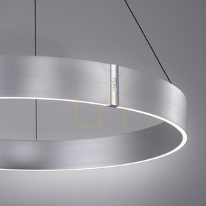 PURE E-CLIPSE 2561-95 Silver 2xLED Pendant Light small 10