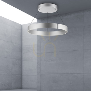 PURE E-CLIPSE 2561-95 Silver 2xLED Pendant Light small 11