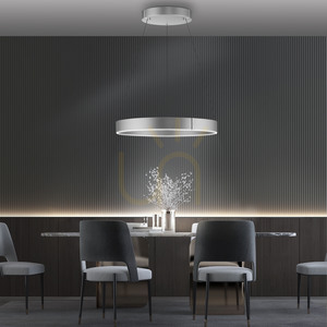 PURE E-CLIPSE 2561-95 Silver 2xLED Pendant Light small 2