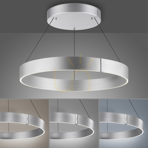 PURE E-CLIPSE 2561-95 Silver 2xLED Pendant Light small 5