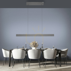 PURE E-MOTION 2570-15 Gray 2xLED Pendant Light small 2