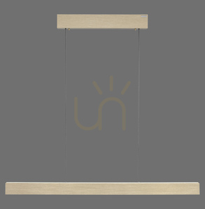 PURE E-MOTION 2570-60 Brass 2xLED Pendant Light 1 PURE E-MOTION 2570-60 Brass 2xLED Pendant Light small 1