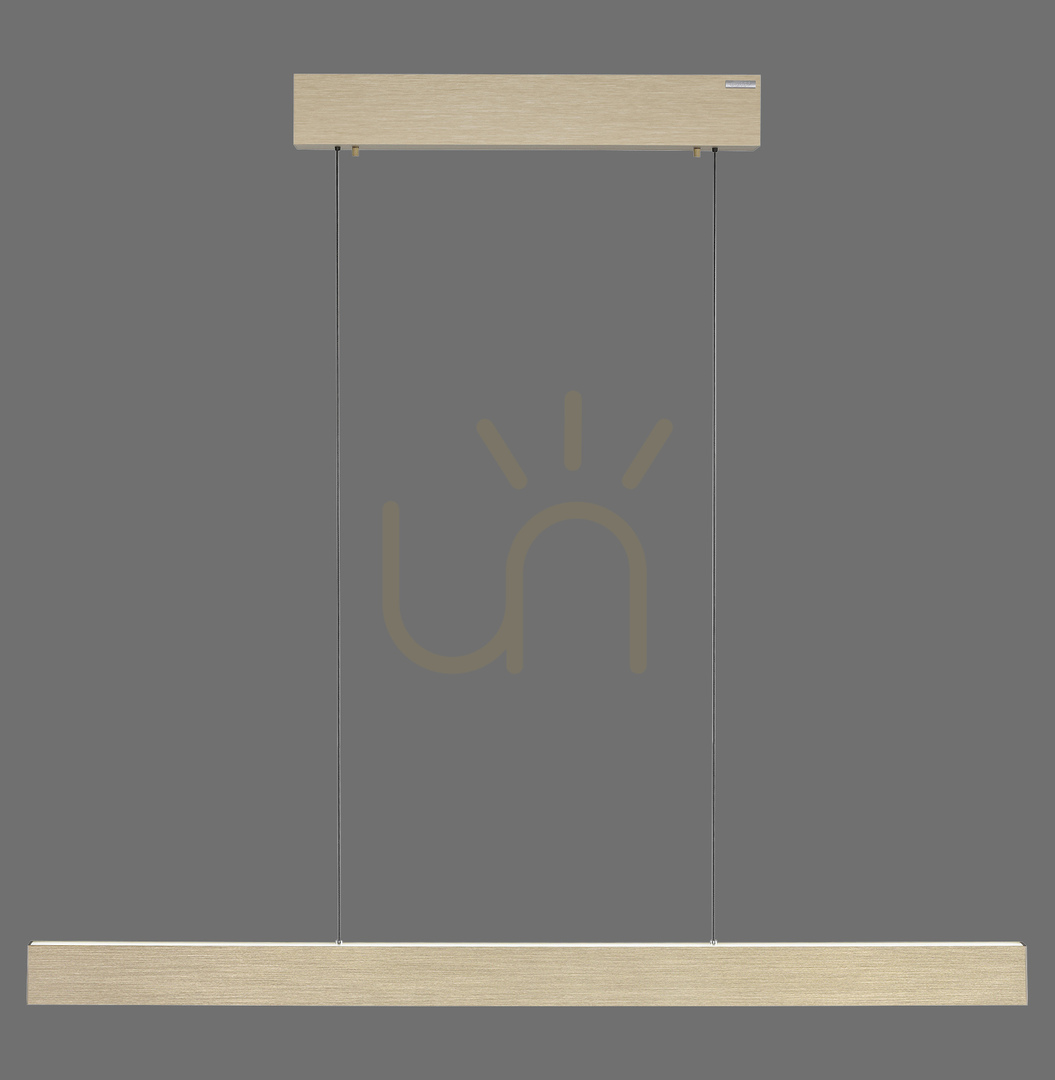 View PURE E-MOTION 2570-60 Brass 2xLED Pendant Light PURE E-MOTION 2570-60 Brass 2xLED Pendant Light