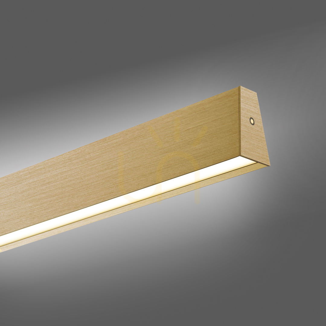 Check PURE E-MOTION 2570-60 Brass 2xLED Pendant Light PURE E-MOTION 2570-60 Brass 2xLED Pendant Light