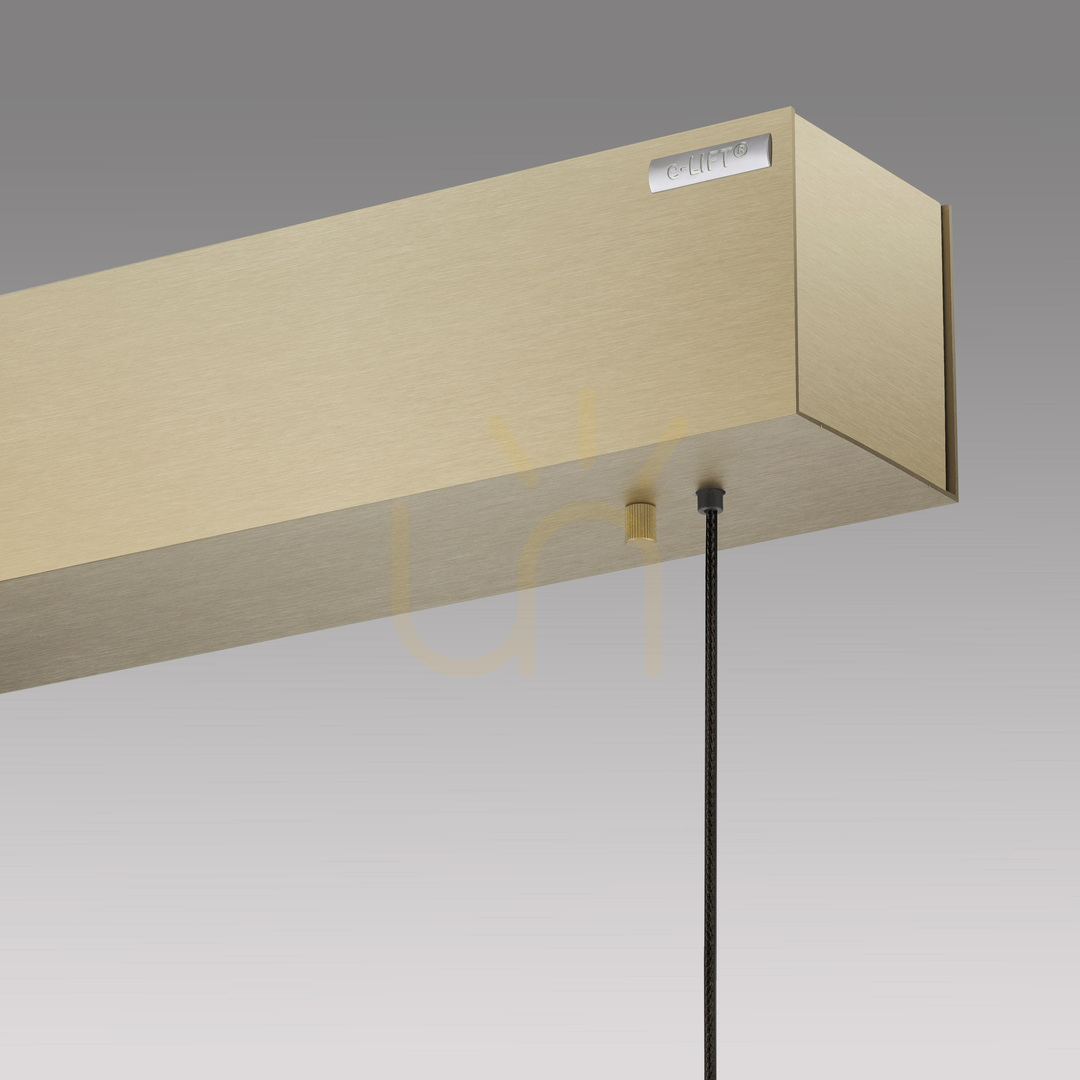 Preview PURE E-MOTION 2570-60 Brass 2xLED Pendant Light PURE E-MOTION 2570-60 Brass 2xLED Pendant Light