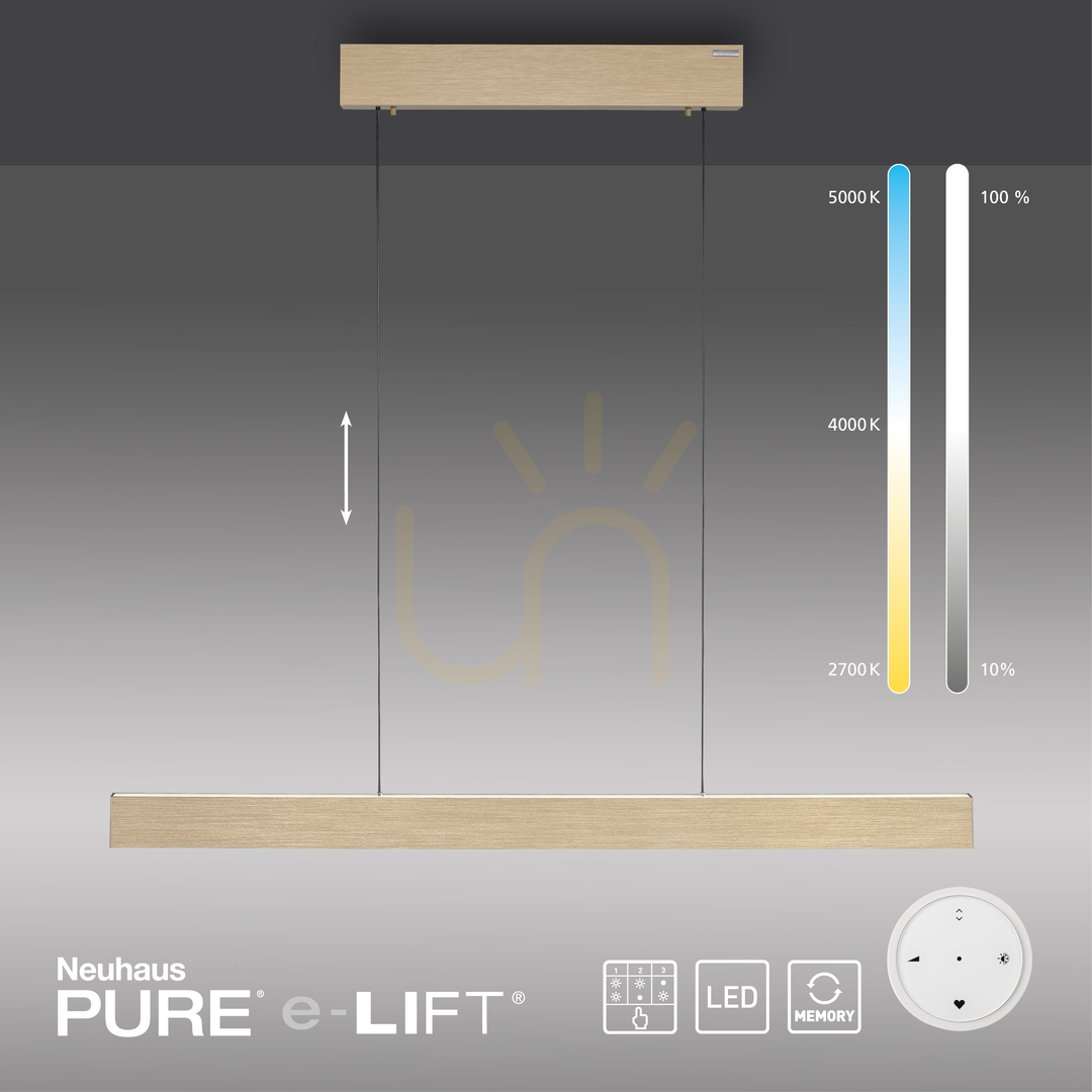 Display PURE E-MOTION 2570-60 Brass 2xLED Pendant Light PURE E-MOTION 2570-60 Brass 2xLED Pendant Light