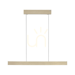 PURE E-MOTION 2570-60 Brass 2xLED Pendant Light 15 PURE E-MOTION 2570-60 Brass 2xLED Pendant Light small 15