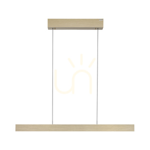 PURE E-MOTION 2570-60 Brass 2xLED Pendant Light 16 PURE E-MOTION 2570-60 Brass 2xLED Pendant Light small 16