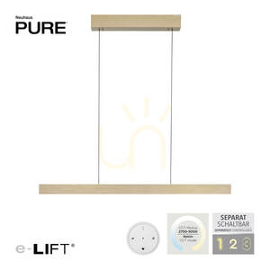 PURE E-MOTION 2570-60 Brass 2xLED Pendant Light 2 PURE E-MOTION 2570-60 Brass 2xLED Pendant Light small 2