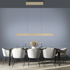PURE E-MOTION 2570-60 Brass 2xLED Pendant Light 3 PURE E-MOTION 2570-60 Brass 2xLED Pendant Light small 3
