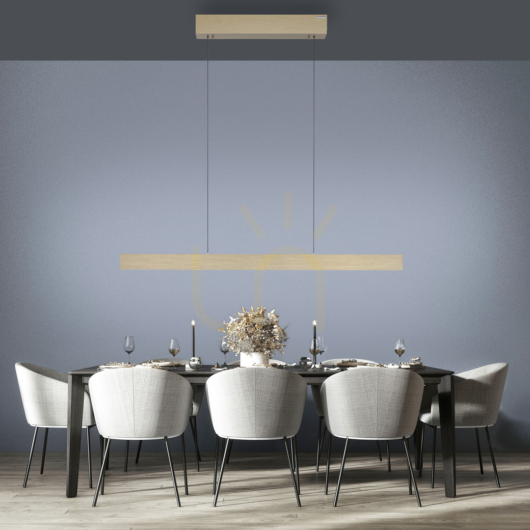 Display PURE E-MOTION 2570-60 Brass 2xLED Pendant Light PURE E-MOTION 2570-60 Brass 2xLED Pendant Light