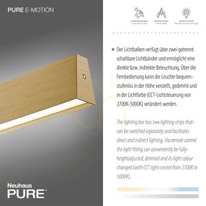 PURE E-MOTION 2570-60 Brass 2xLED Pendant Light 4 PURE E-MOTION 2570-60 Brass 2xLED Pendant Light small 4