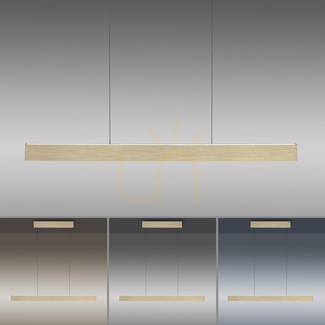 View PURE E-MOTION 2570-60 Brass 2xLED Pendant Light PURE E-MOTION 2570-60 Brass 2xLED Pendant Light