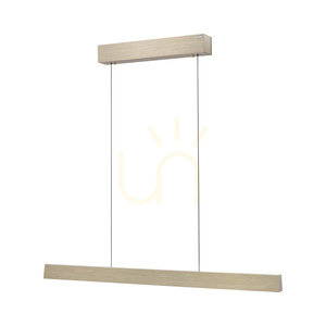 PURE E-MOTION 2570-60 Brass 2xLED Pendant Light 8 PURE E-MOTION 2570-60 Brass 2xLED Pendant Light small 8