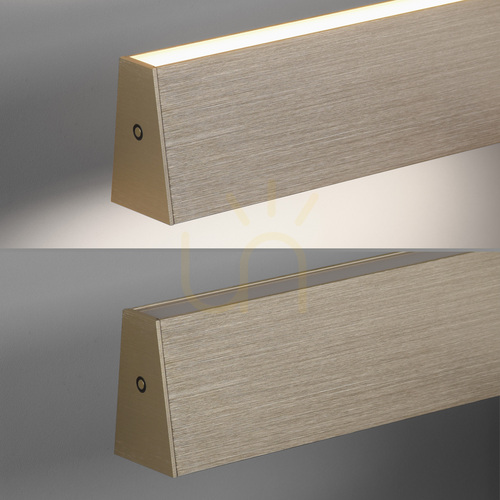 Check PURE E-MOTION 2570-60 Brass 2xLED Pendant Light