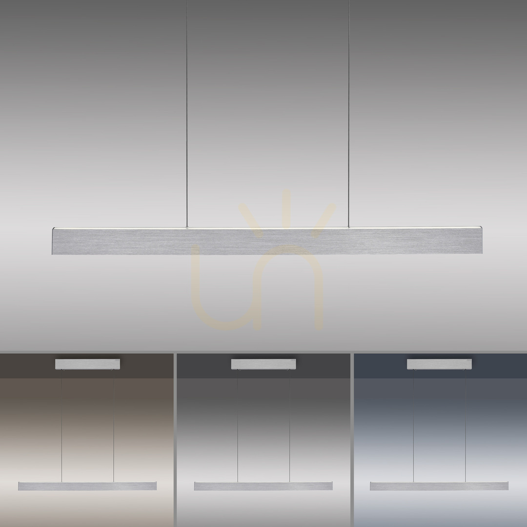 Check PURE E-MOTION 2570-95 Silver 2xLED Pendant Light PURE E-MOTION 2570-95 Silver 2xLED Pendant Light