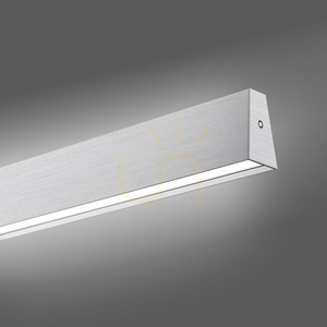 PURE E-MOTION 2570-95 Silver 2xLED Pendant Light 9 PURE E-MOTION 2570-95 Silver 2xLED Pendant Light small 9