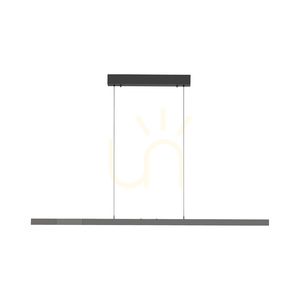 ADRIANA COMFORT LIFT 2598-13 Anthracite 1xLED Pendant Light 18 ADRIANA COMFORT LIFT 2598-13 Anthracite 1xLED Pendant Light small 18