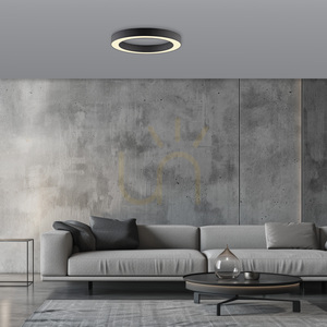PURE LINES ROUND 6310-13 Ceiling Light, Anthracite, 1xLED small 2