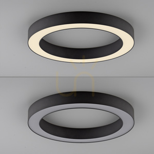 PURE LINES ROUND 6310-13 Ceiling Light, Anthracite, 1xLED small 4