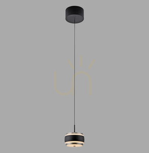 PURE FALLING RINGS 2503-18 Black 1xLED Pendant Light small 0